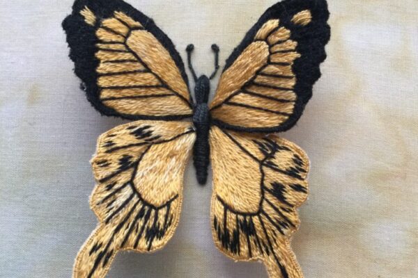 Butterfly by Mavis Brown